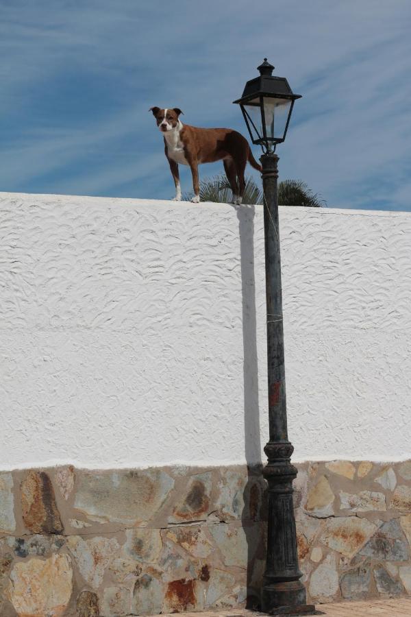 Golf View Apartment - Stunning Ocean View Golf Del Sur San Miguel de Abona Buitenkant foto